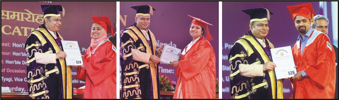 PhD Degree Award